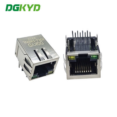 De enige Haven basis-t 10/100 RJ45 integreerde Magnetics Jack, geleide G/Y
