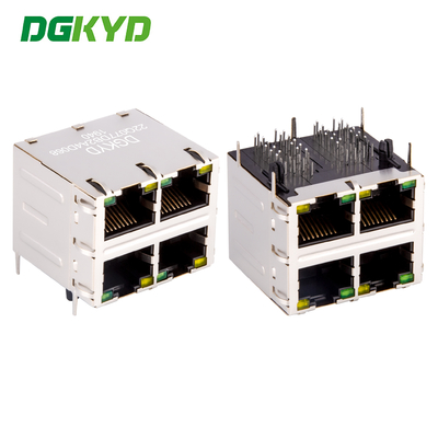 Schild 2X2 Double Deck 4 Port 1000M Cat6 RJ45 Modulaire Jack met Ethernet Filter DGKYD22Q077DB2A4D068