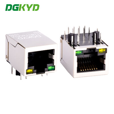 RJ45 netwerkinterface geïntegreerd 100Mbps filter netwerkpoort socket horizontaal DGKYD111B113AA1D