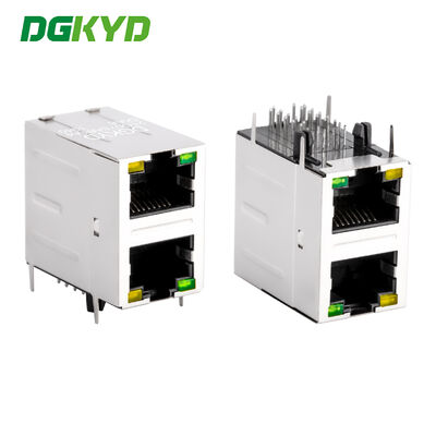 2x1 Dual Port RJ45 Connector 1000BASE-T Gigabit Ethernet met filter